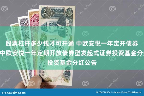 股票杠杆多少钱才可开通 中欧安悦一年定开债券发起: 中欧安悦一年定期开放债券型发起式证券投资基金分红公告