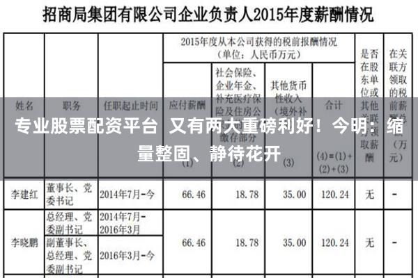 专业股票配资平台  又有两大重磅利好！今明：缩量整固、静待花开