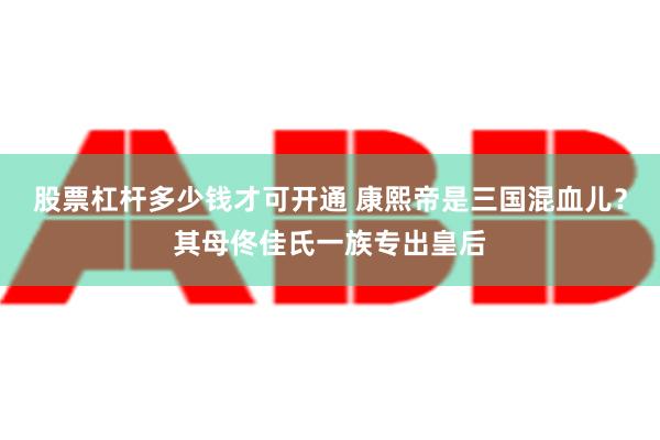 股票杠杆多少钱才可开通 康熙帝是三国混血儿？其母佟佳氏一族专出皇后