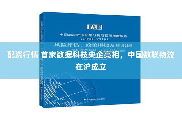 配资行情 首家数据科技央企亮相，中国数联物流在沪成立