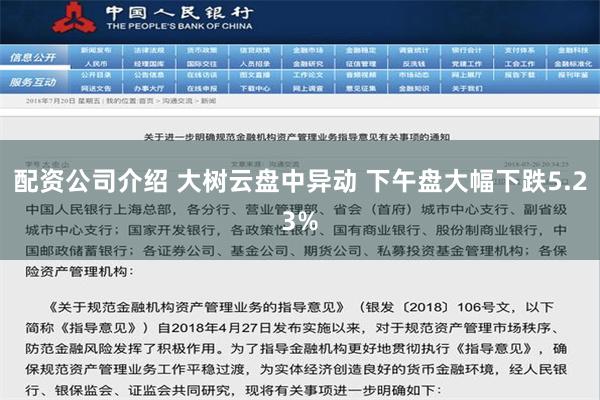 配资公司介绍 大树云盘中异动 下午盘大幅下跌5.23%